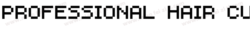 professional hair cu字体转换